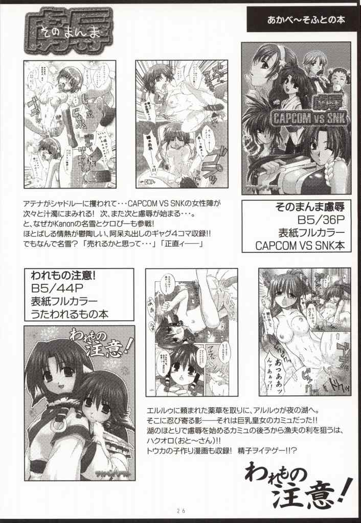 FLASH BACK 25ページ
