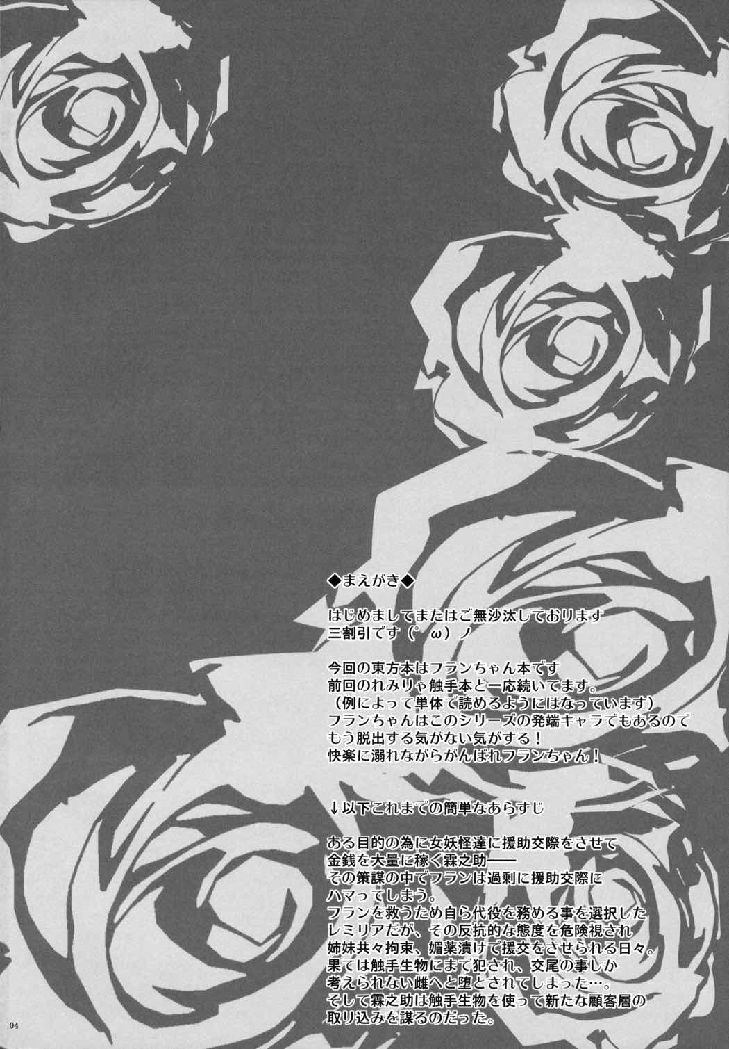 幻想艶交 – Flandre – 触 3ページ