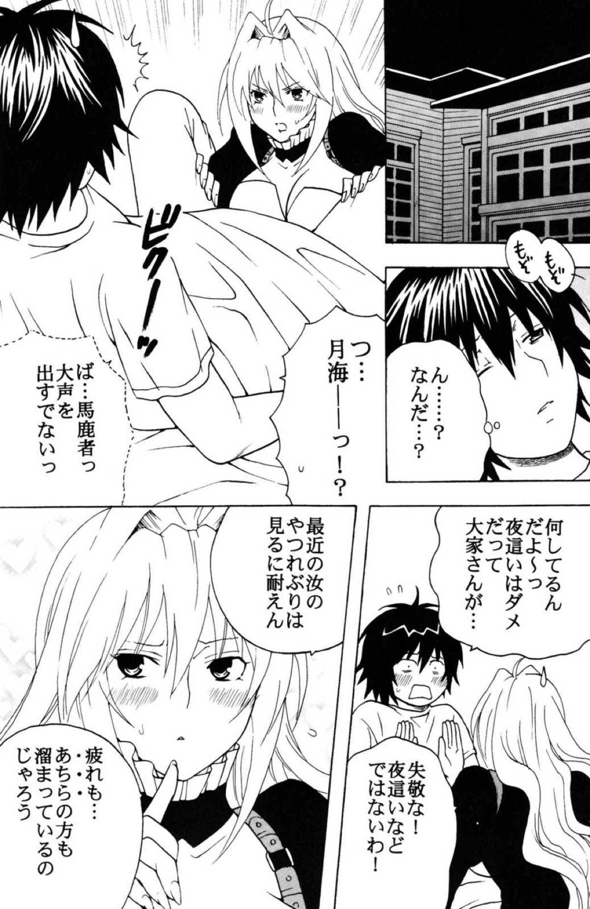 鶺鴒捕縛計画３ 16ページ