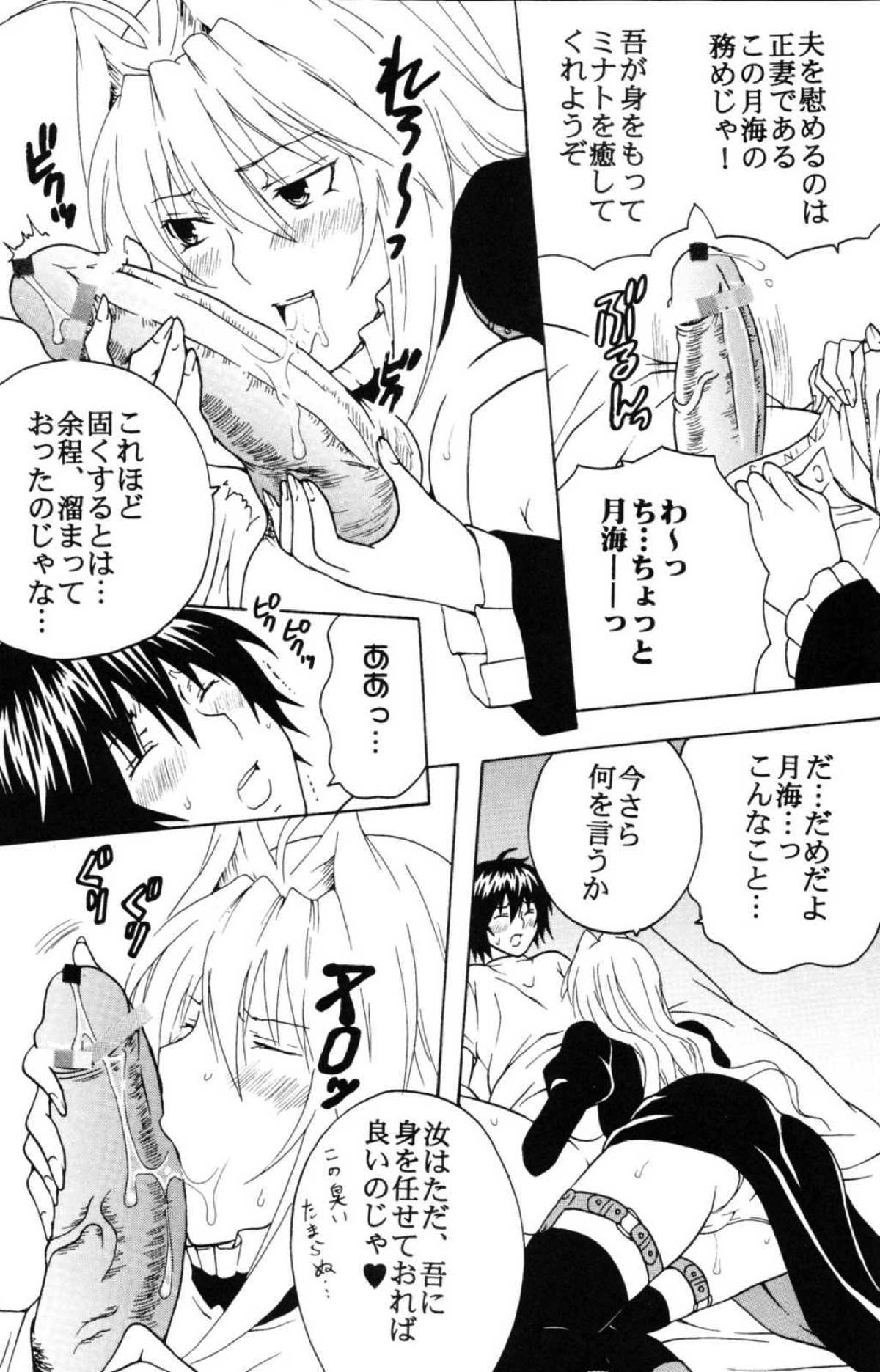 鶺鴒捕縛計画３ 17ページ