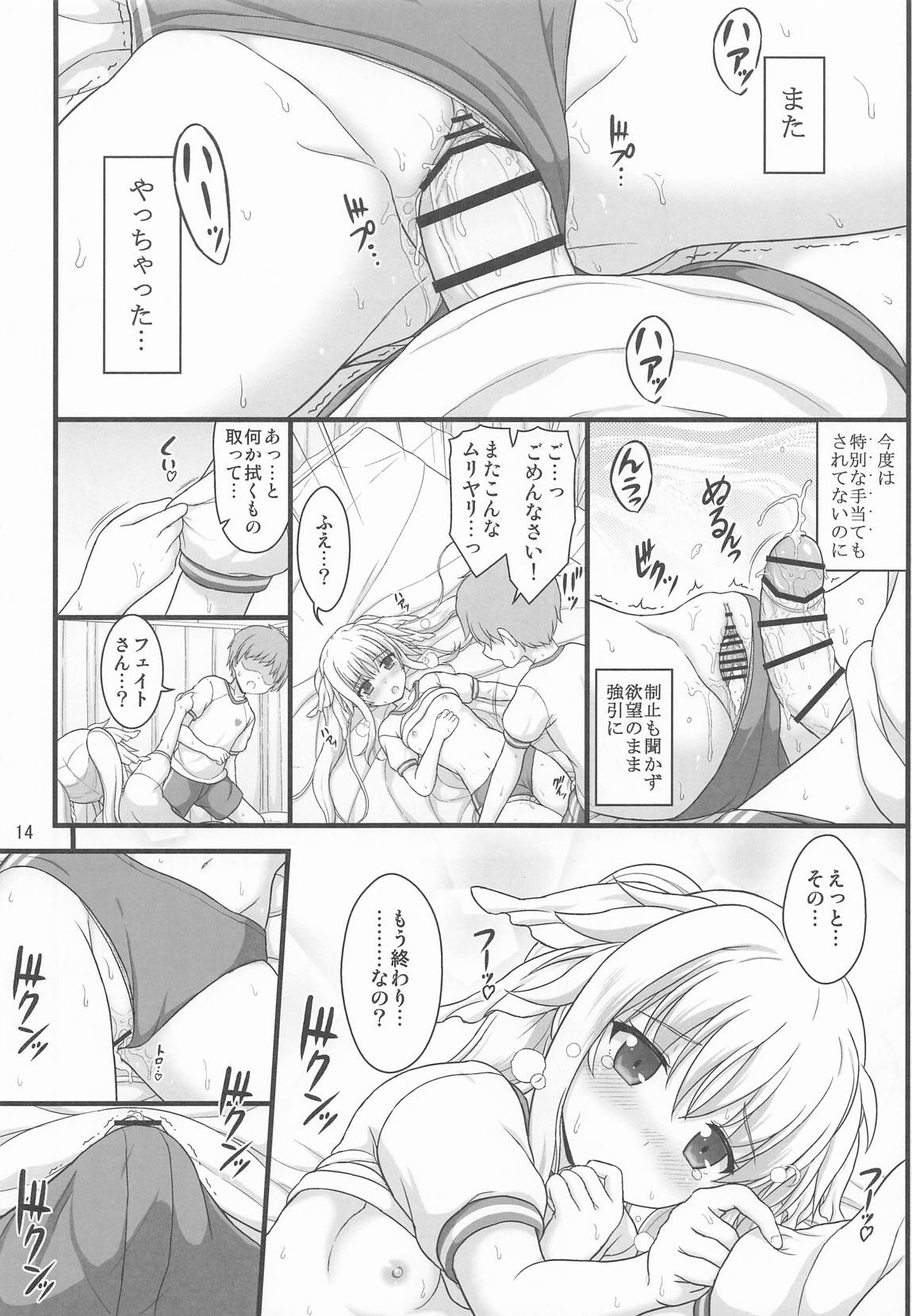 きれいで優しくてチョロくてH過ぎるフェイトさん 13ページ