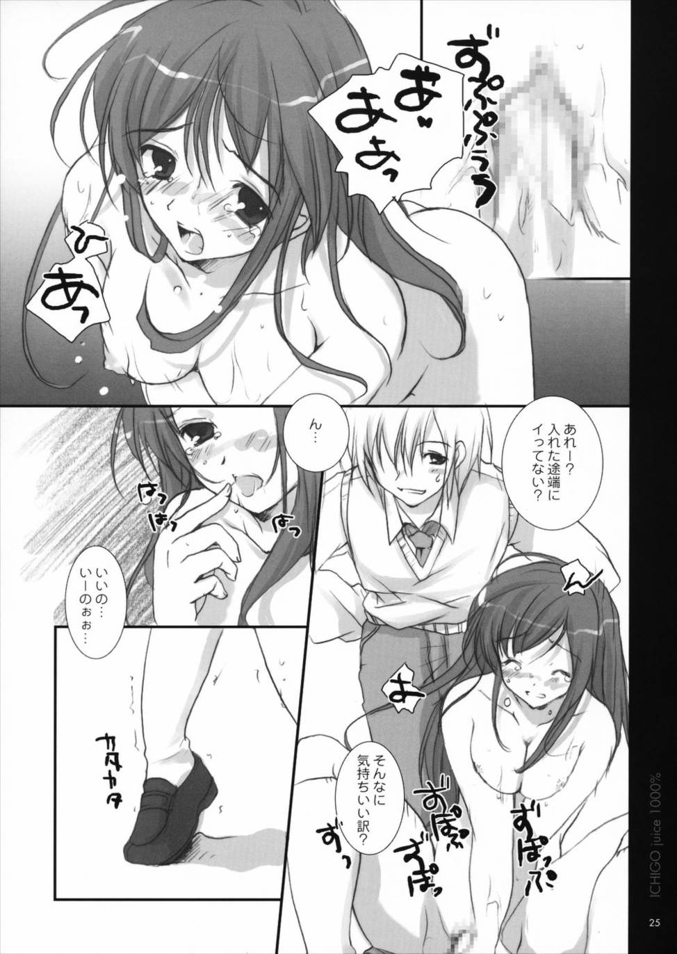 いちご果汁1000％ 2 24ページ