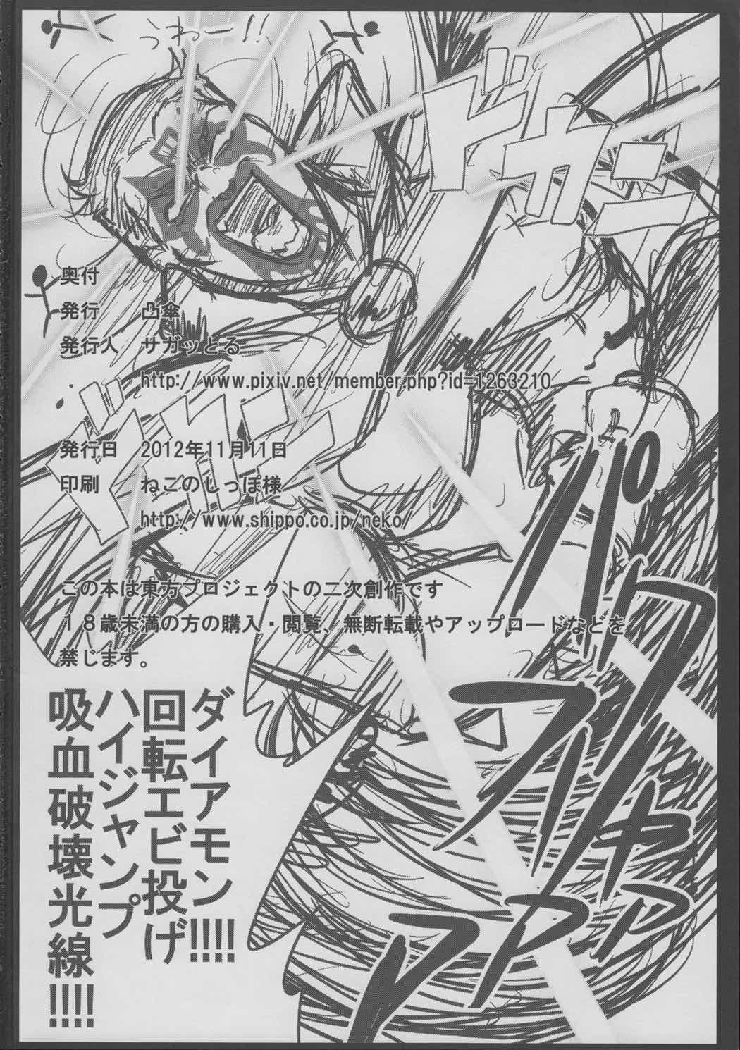 華鳥扇 27ページ