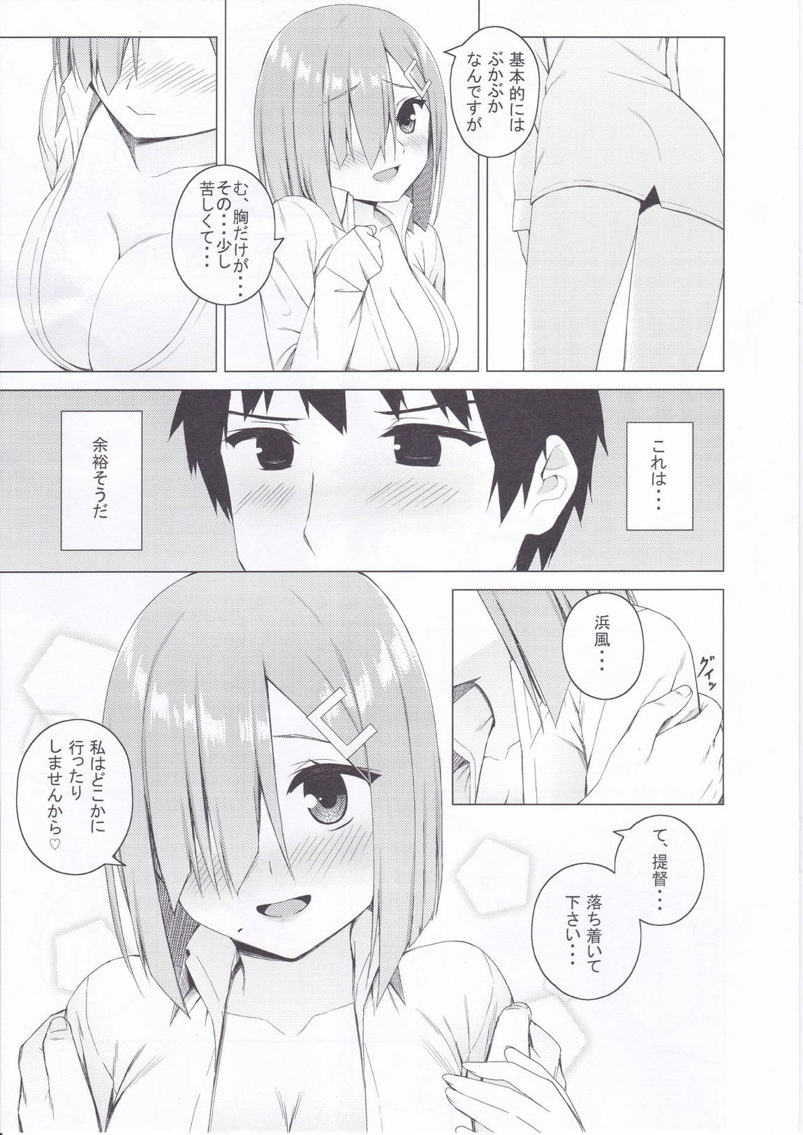 HAMAX 12ページ