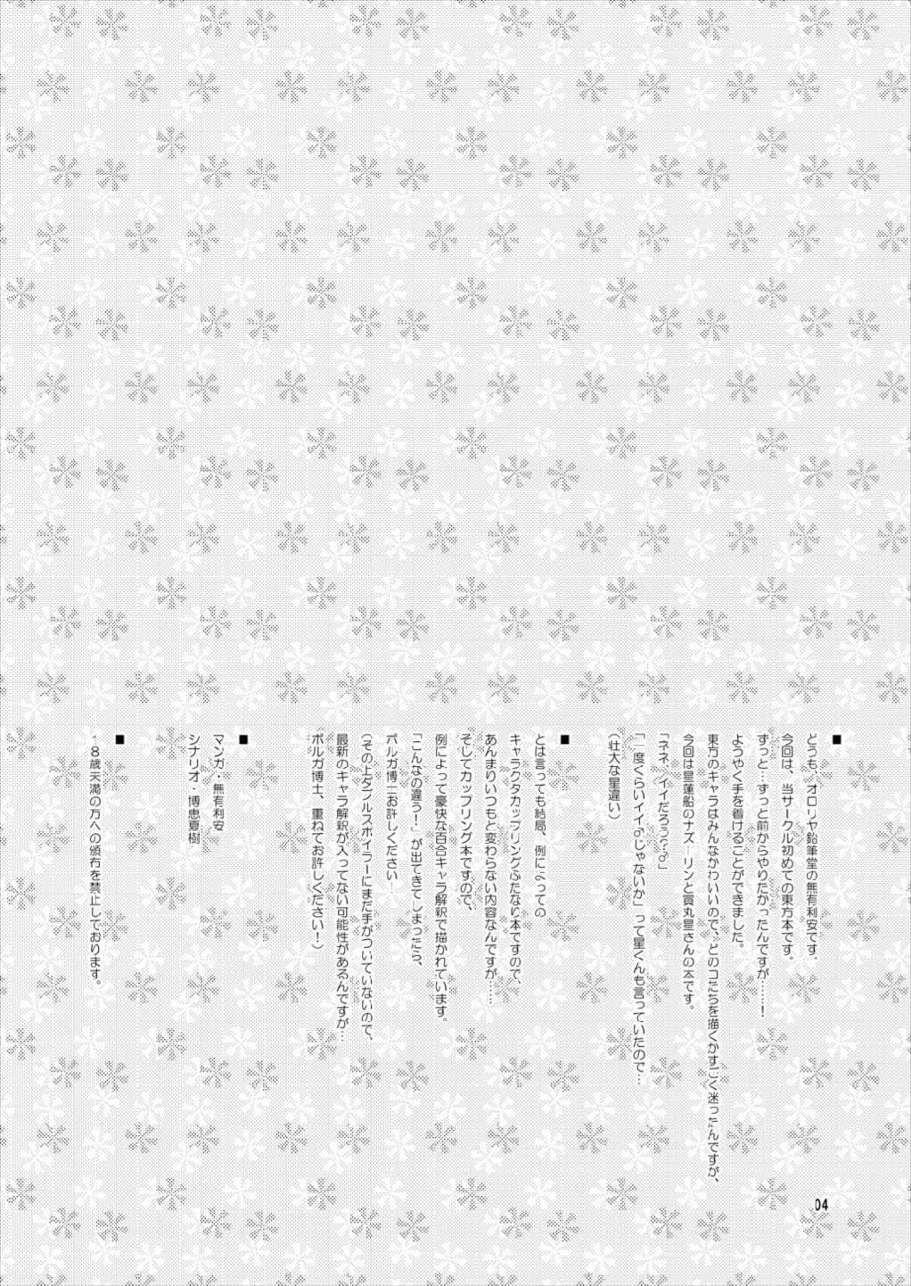 わたしのナズーリン 4ページ