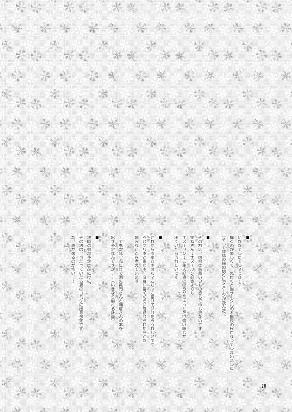 わたしのナズーリン 28ページ