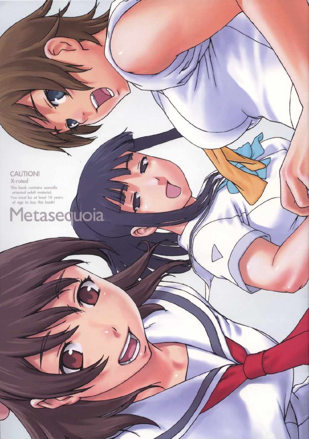 Metasequoia 1ページ