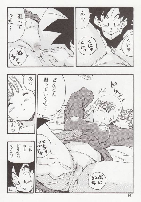 DRAGONBALL EB 1 EPISODE OF BULMA 14ページ