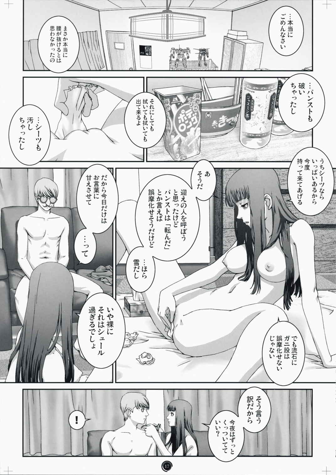 Plug-in R 17ページ
