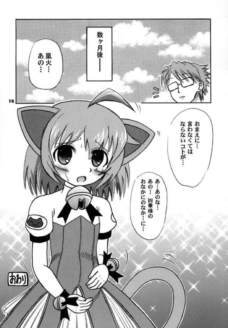 狂乱の舞を舞った! 13ページ