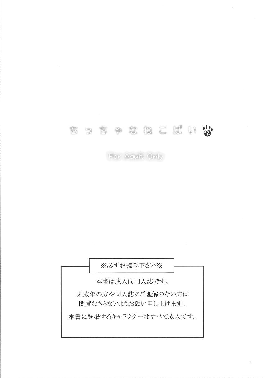 ちっちゃなねこぱい2 2ページ