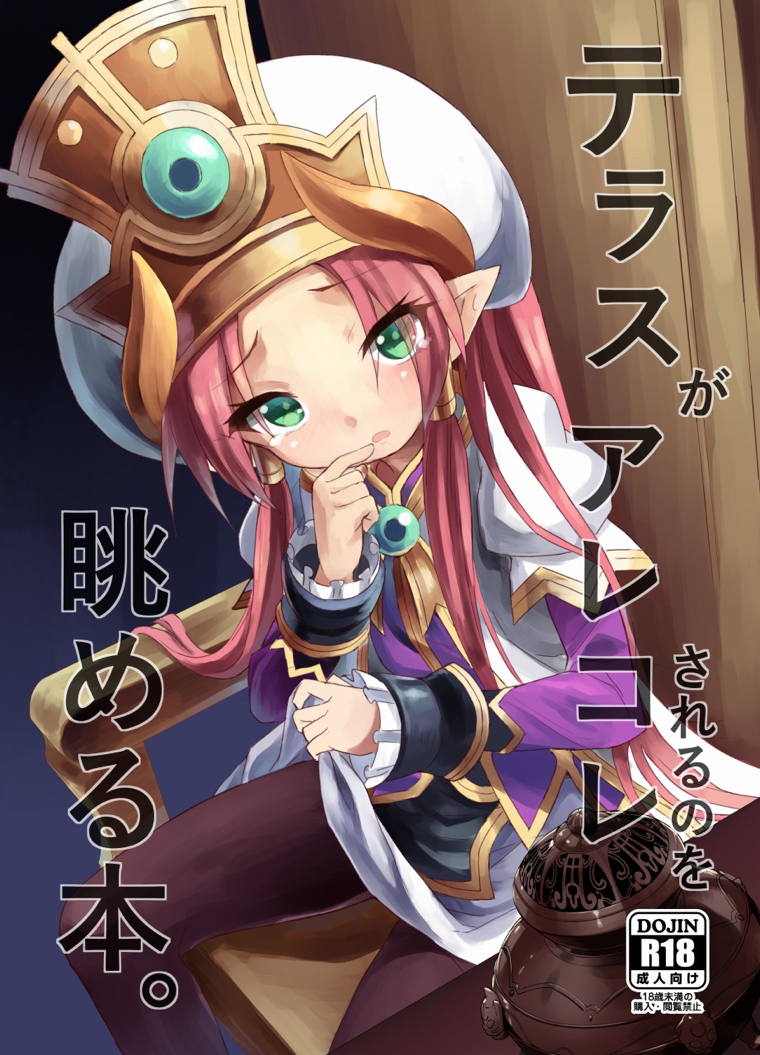 テラスがアレコレされるのを眺める本。 1ページ