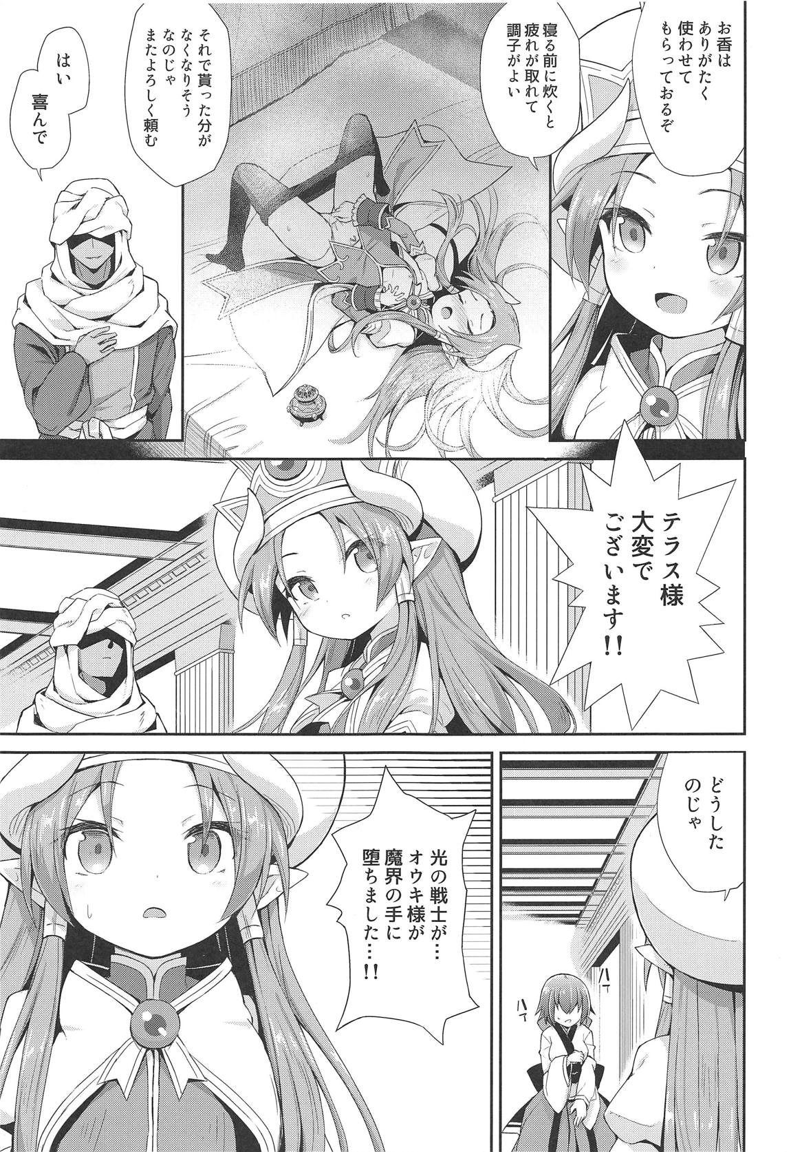 テラスがアレコレされるのを眺める本。 11ページ
