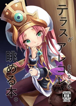テラスがアレコレされるのを眺める本。