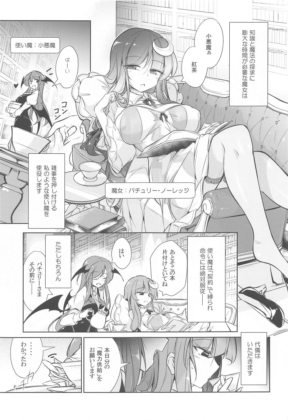 パチュリー魔力搾乳開発 2ページ