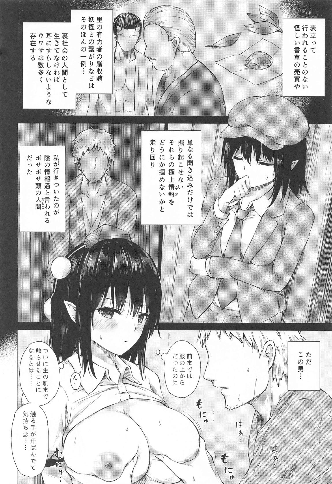 射命丸文はスクープのために 3ページ