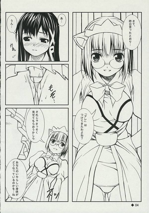 Hesitates Operating System 3ページ
