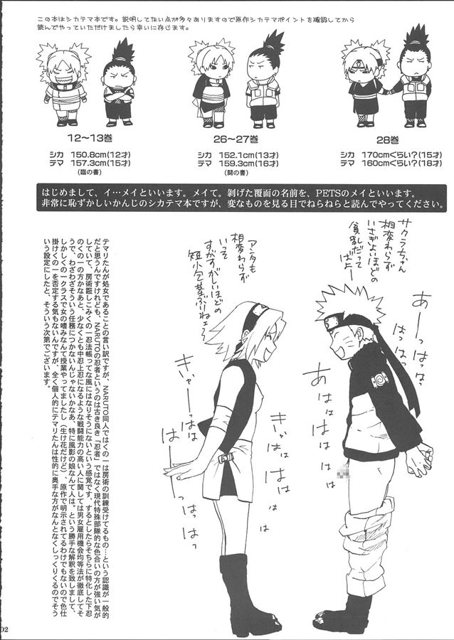 +3 3ページ
