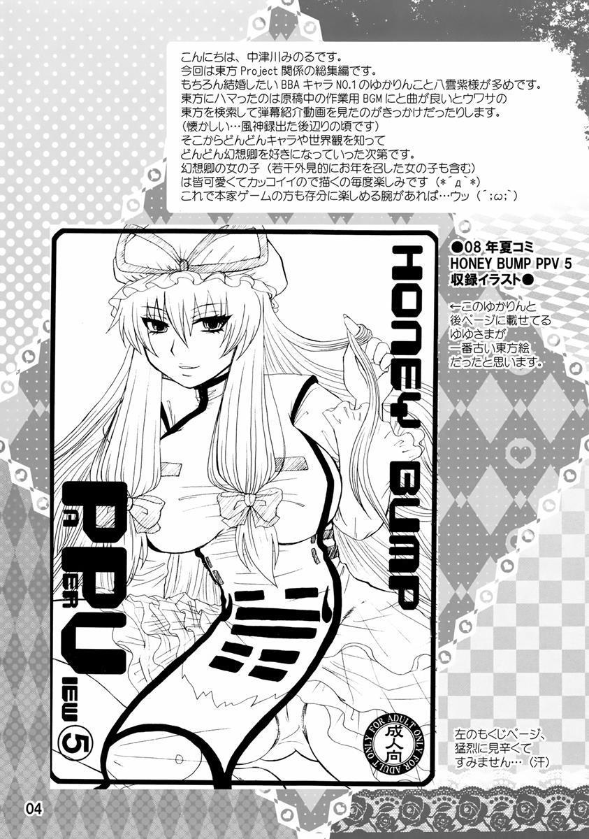 紫奥義・淫乳結界-ハニーバンプ・東方総集編- 3ページ