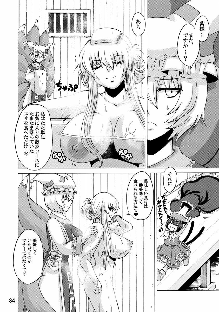 紫奥義・淫乳結界-ハニーバンプ・東方総集編- 33ページ