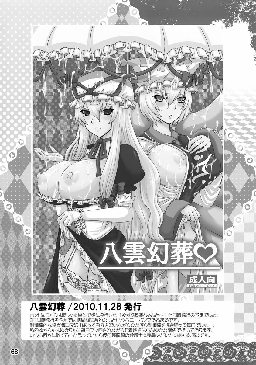 紫奥義・淫乳結界-ハニーバンプ・東方総集編- 67ページ