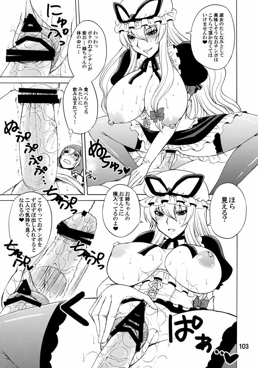 紫奥義・淫乳結界-ハニーバンプ・東方総集編- 102ページ