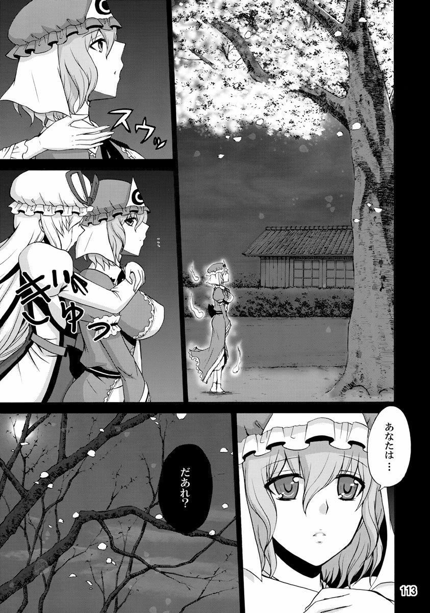紫奥義・淫乳結界-ハニーバンプ・東方総集編- 111ページ
