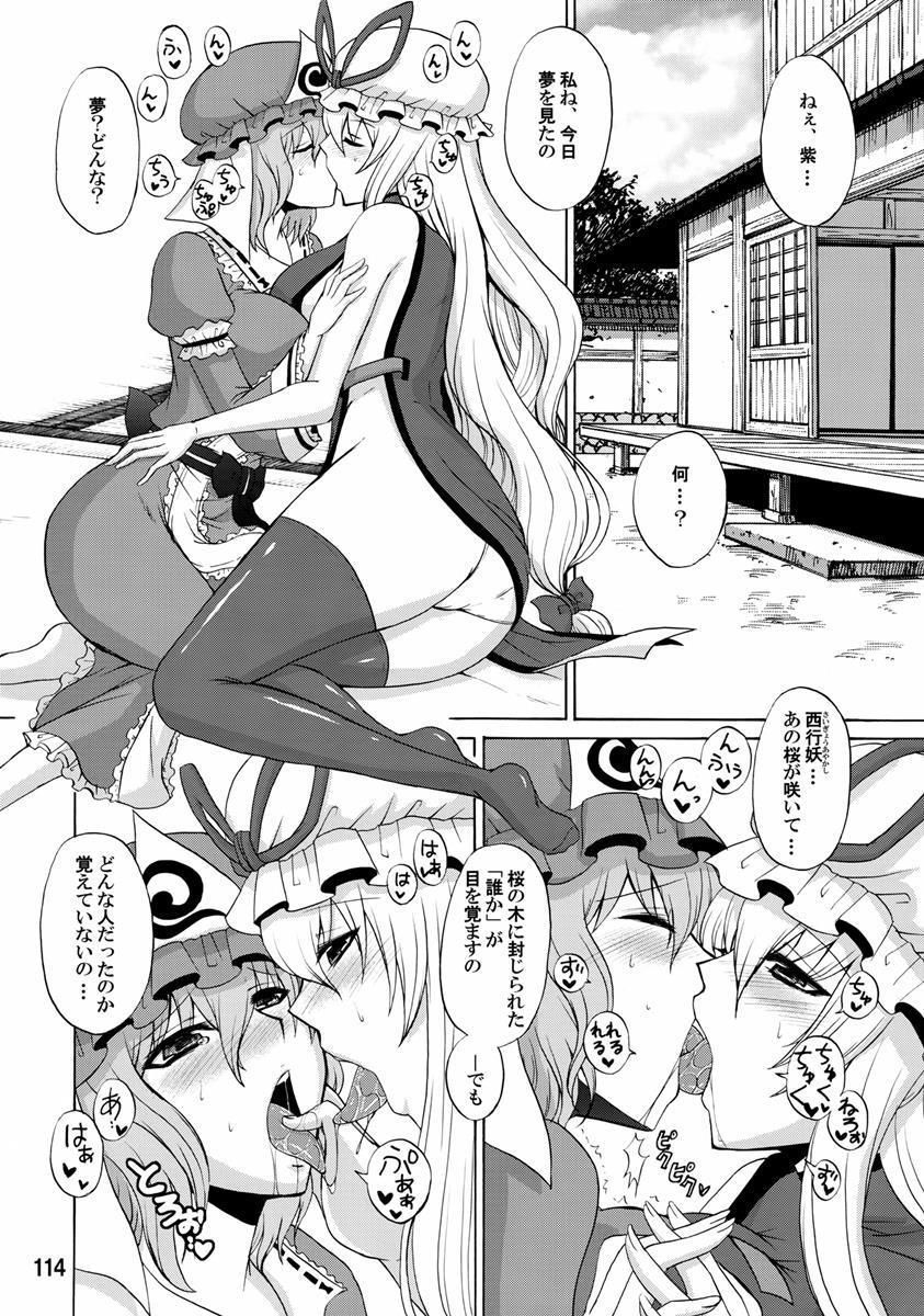 紫奥義・淫乳結界-ハニーバンプ・東方総集編- 112ページ