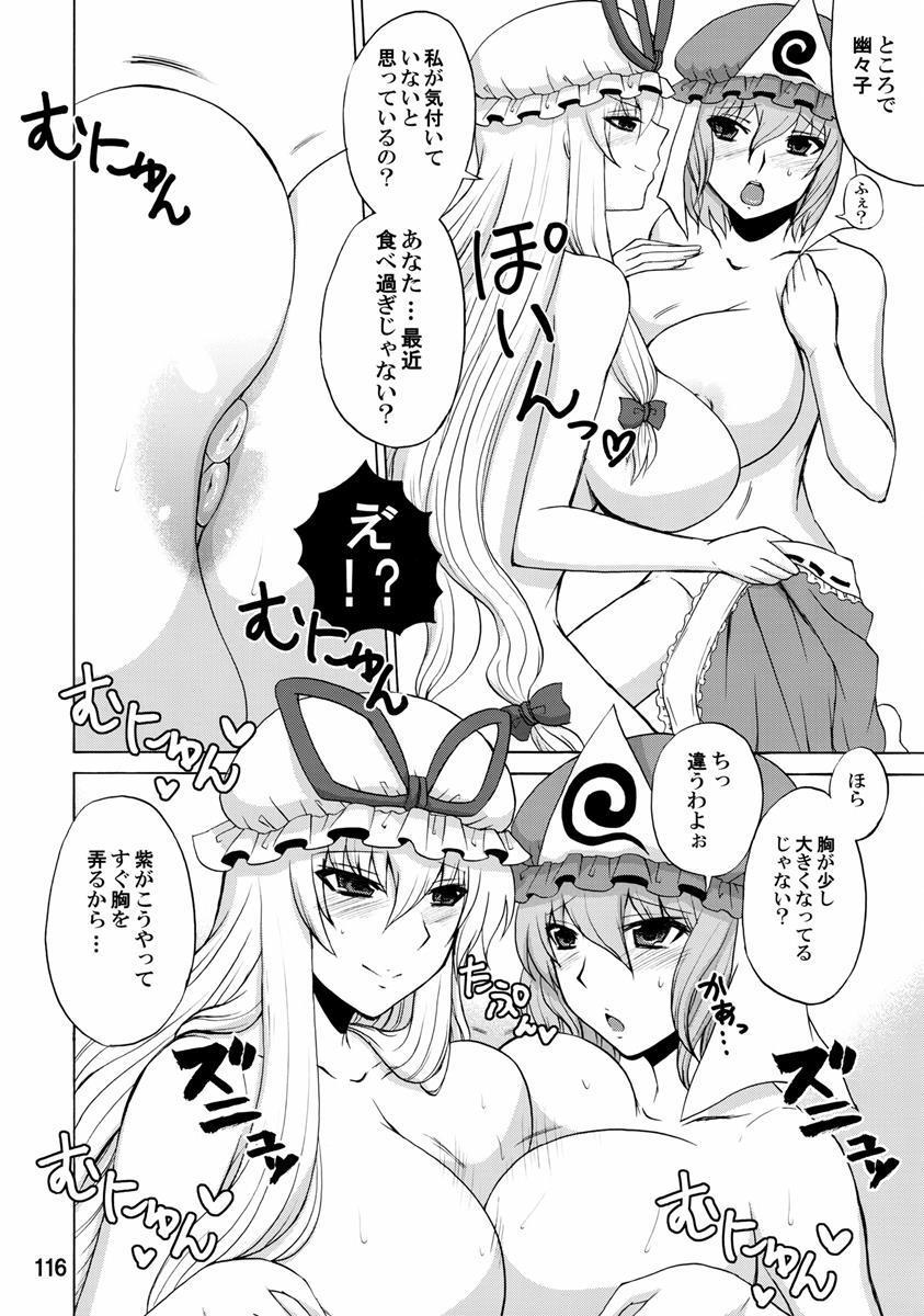 紫奥義・淫乳結界-ハニーバンプ・東方総集編- 114ページ