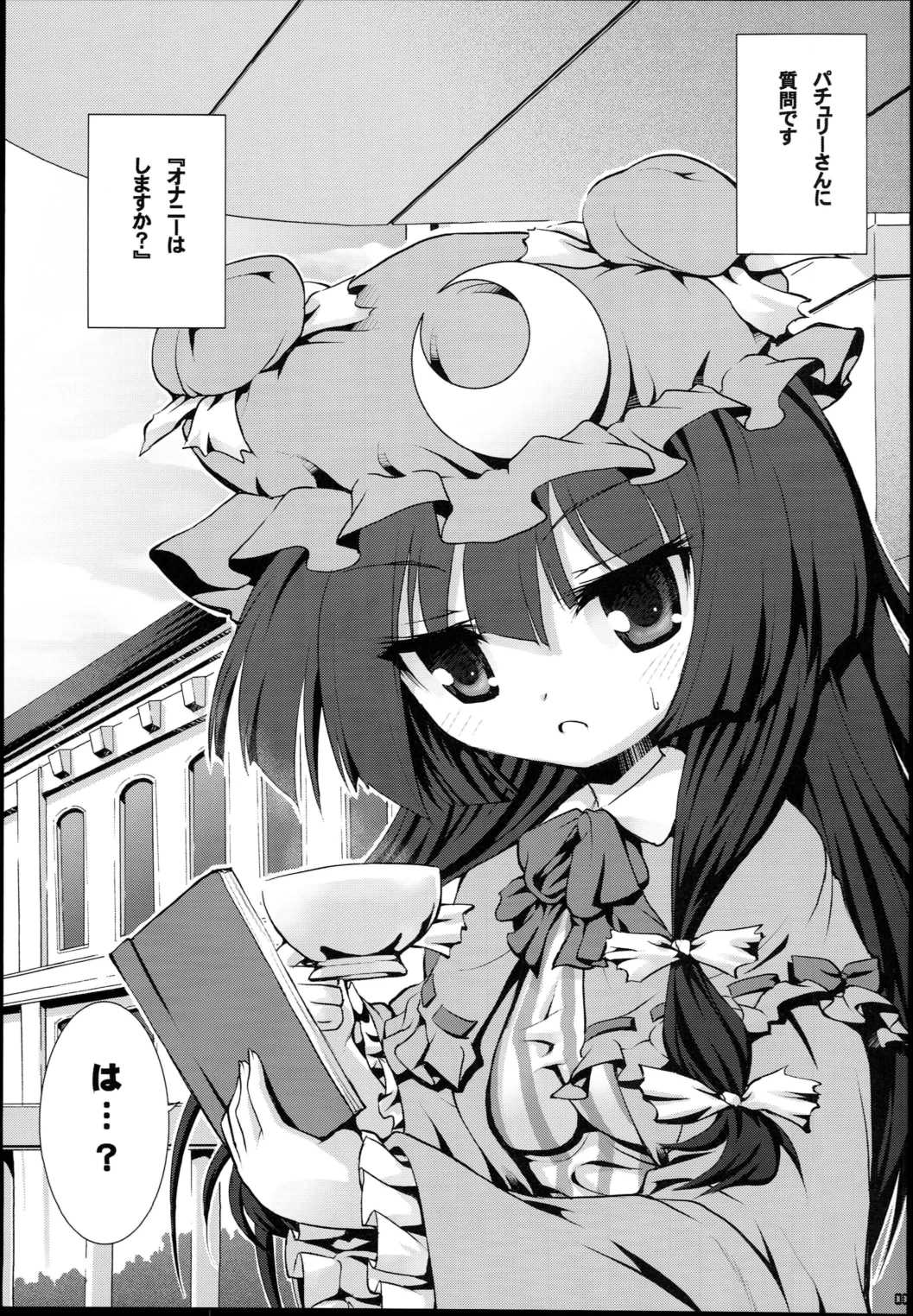 パチュリーにインタビュー 5ページ