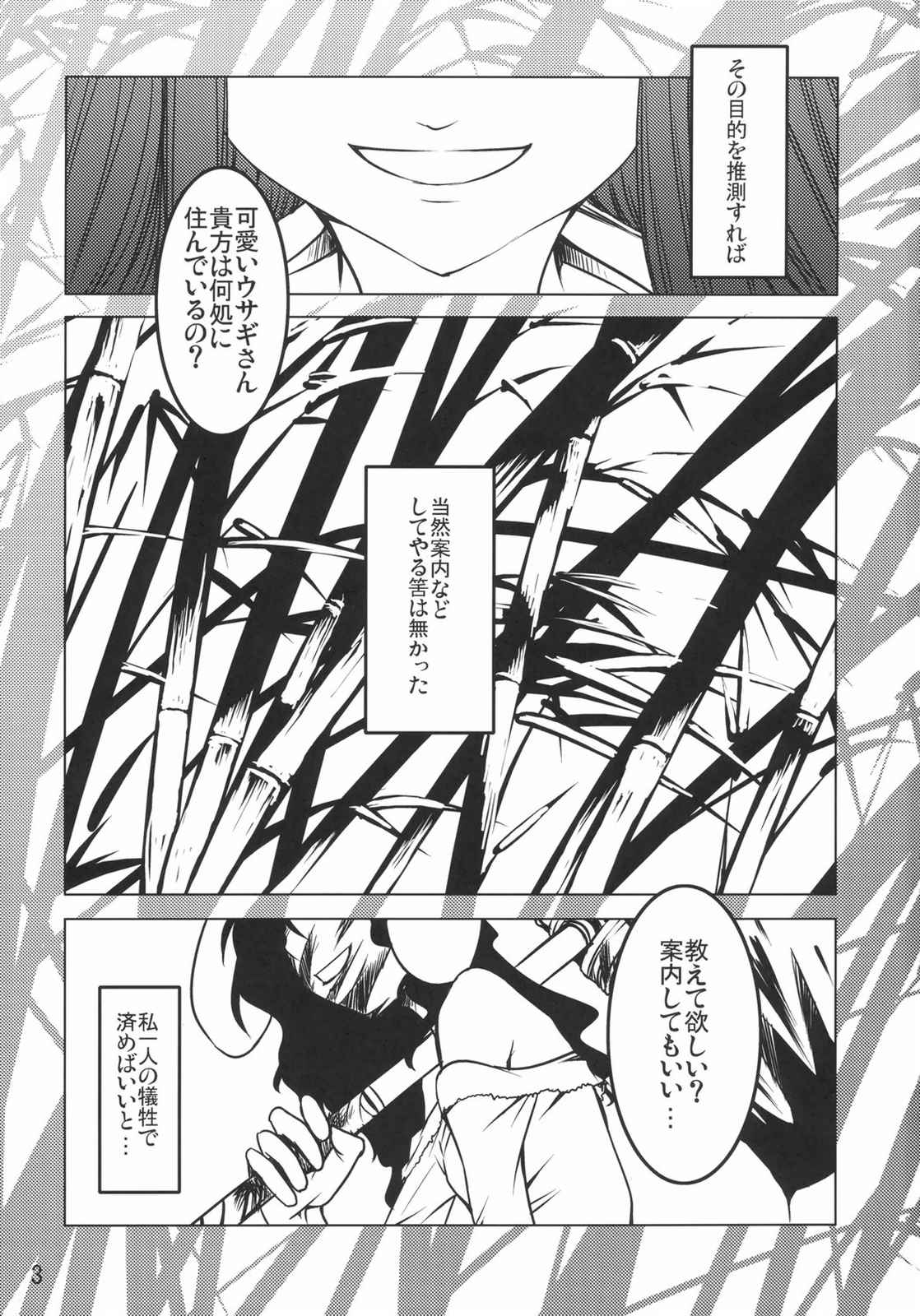 輝夜 2ページ
