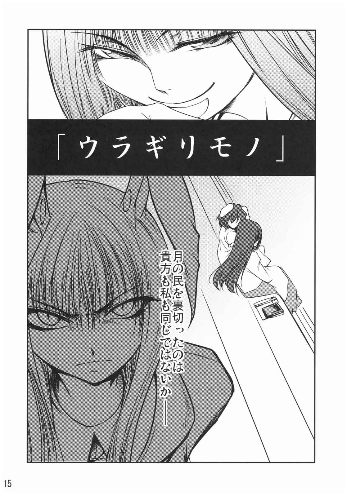 輝夜 14ページ