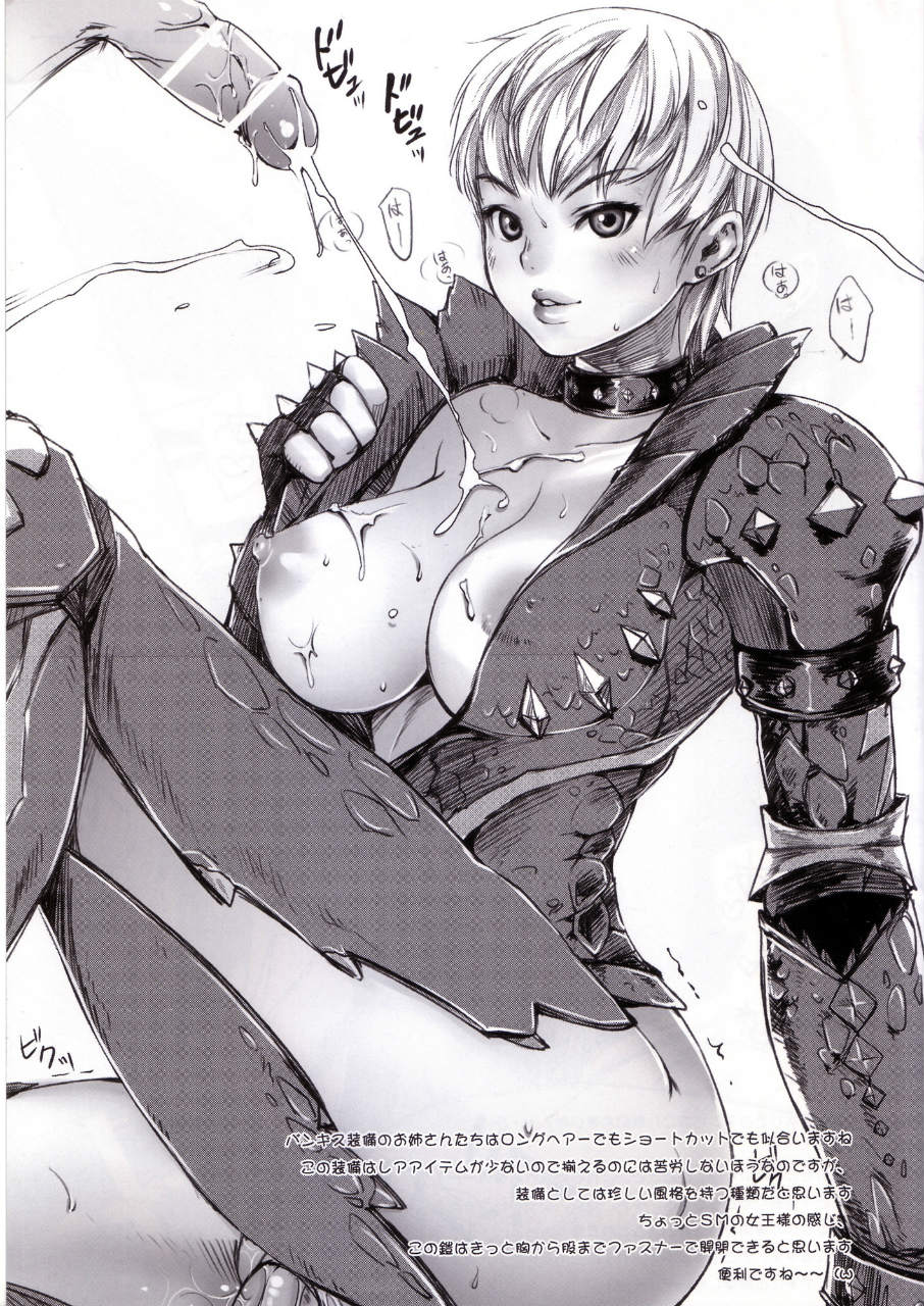 MONSTER HUNTER FANBOOK 16ページ