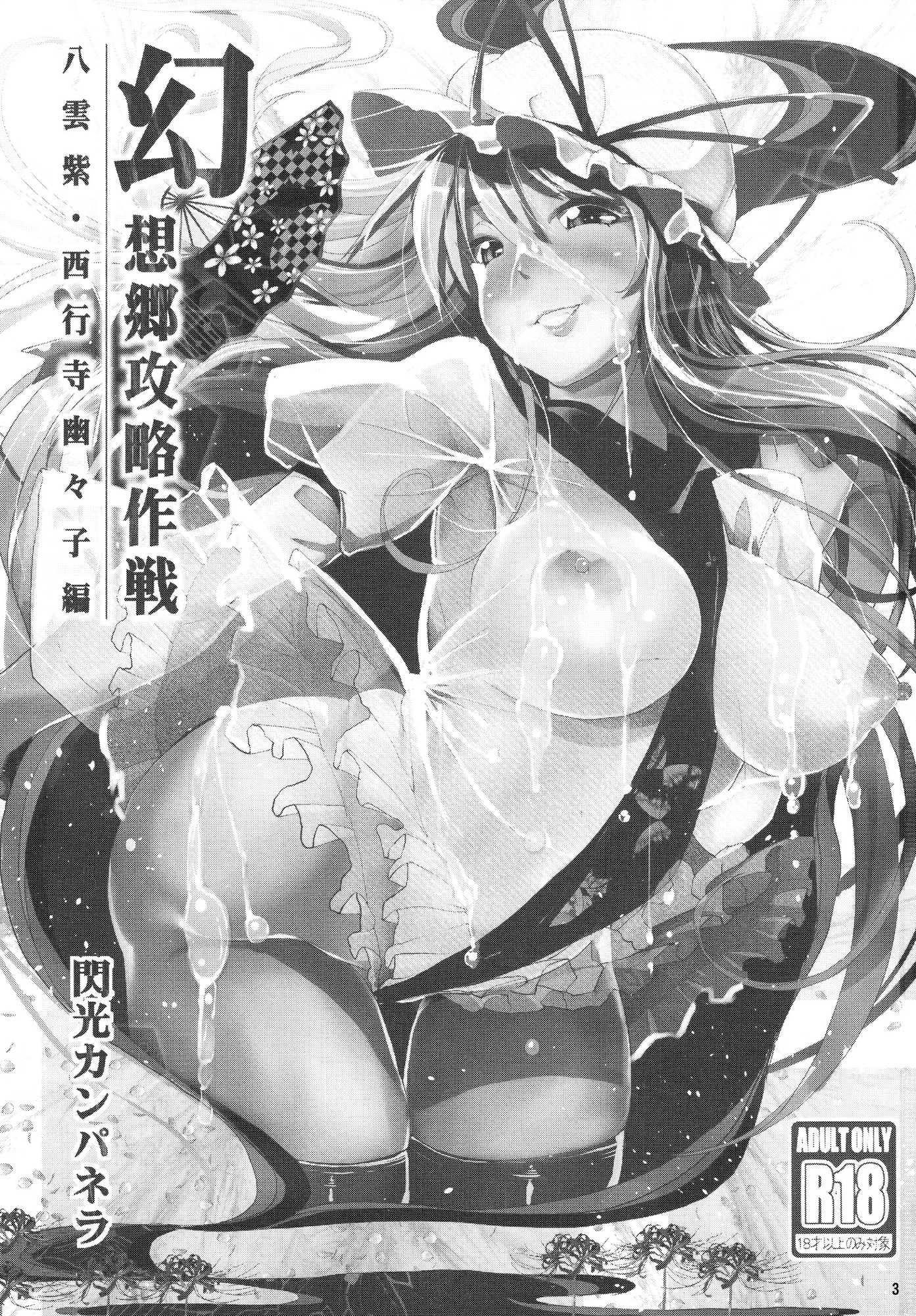 幻想郷攻略作戦 八雲紫･西行寺幽々子編 2ページ