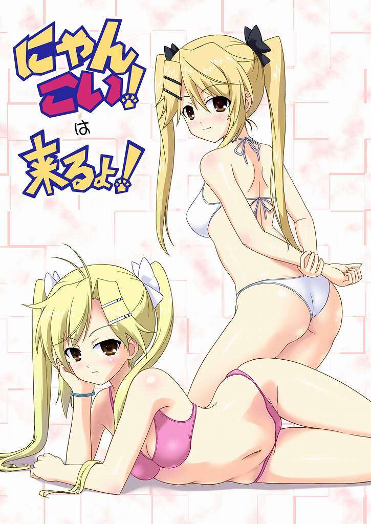 にゃんこい!は来るよ! 1ページ