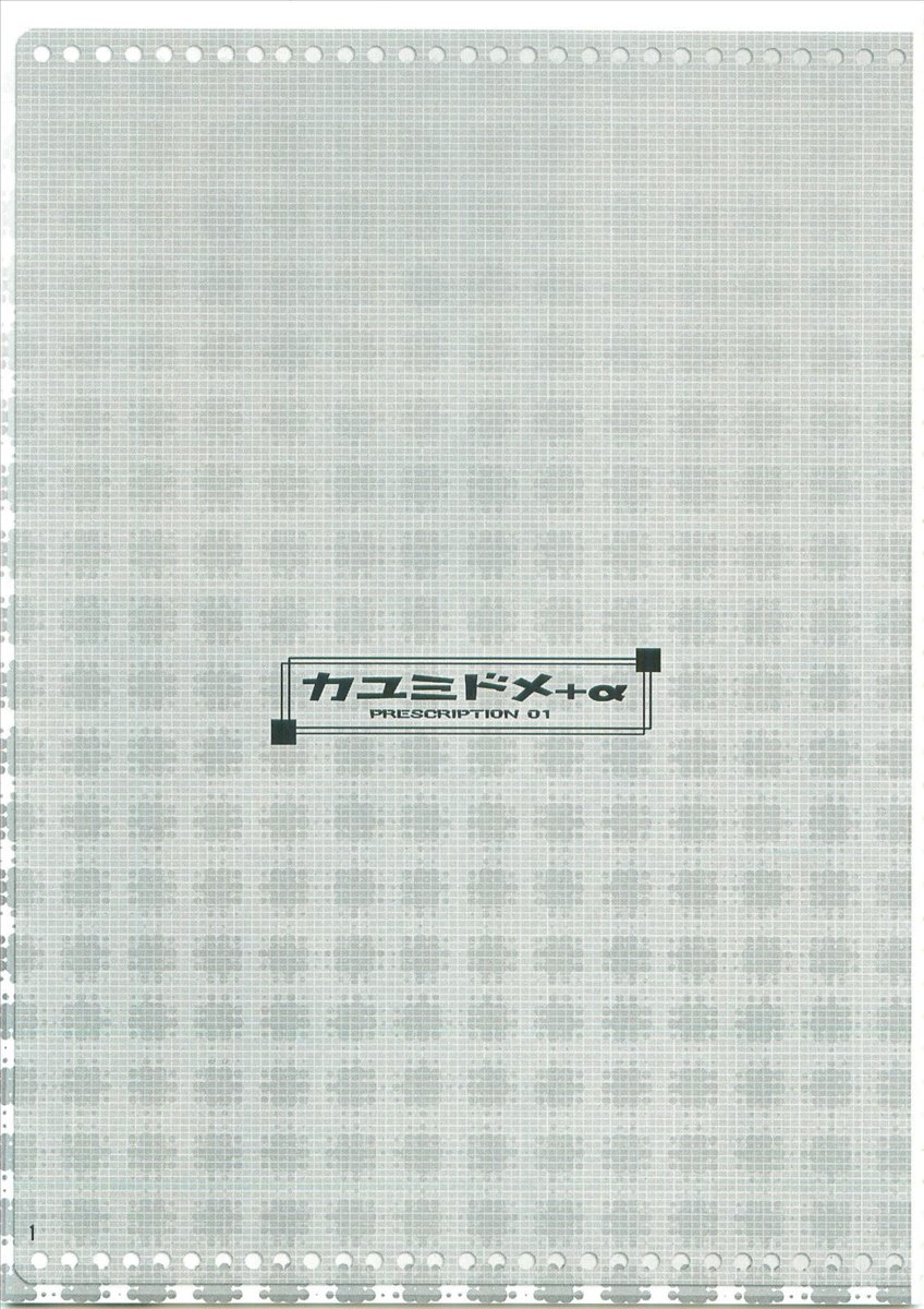 カユミドメ+α 2ページ