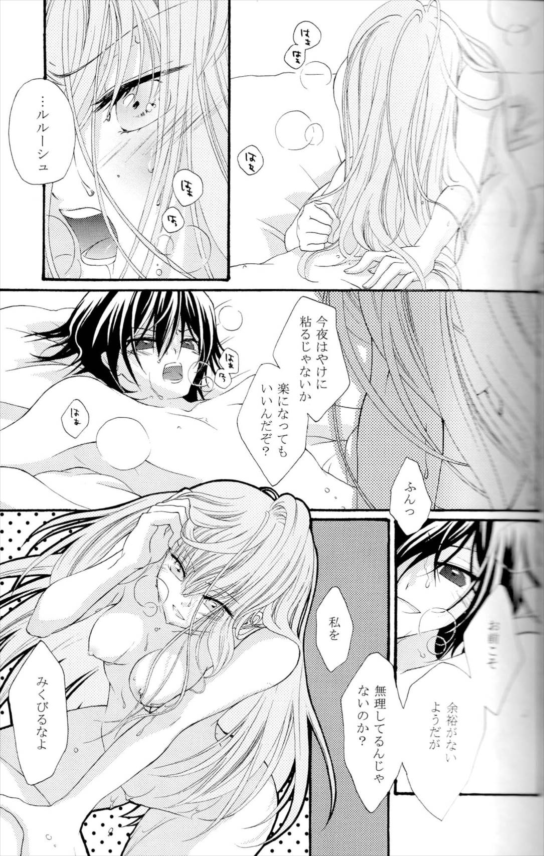 The last love letter presented to my dear only partner 10ページ