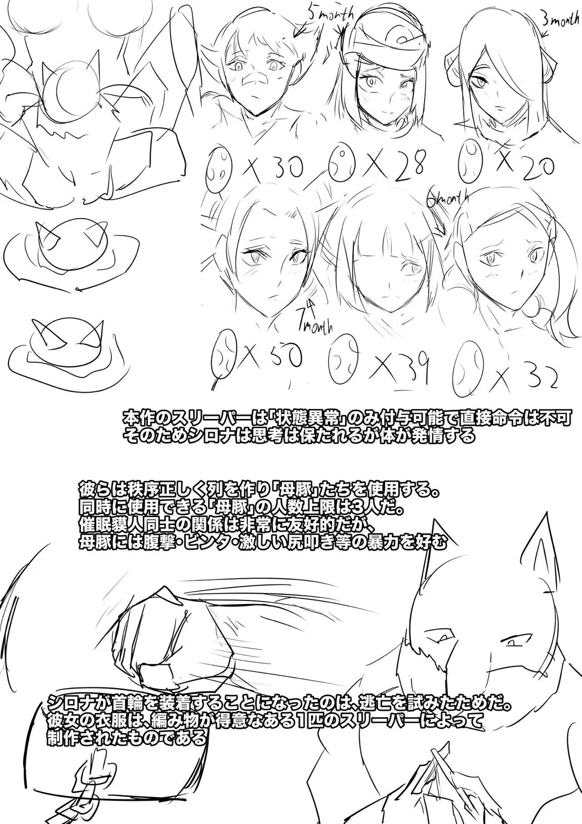 シロナ 13ページ