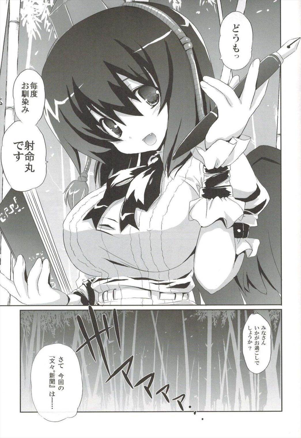 odin総集編 33ページ