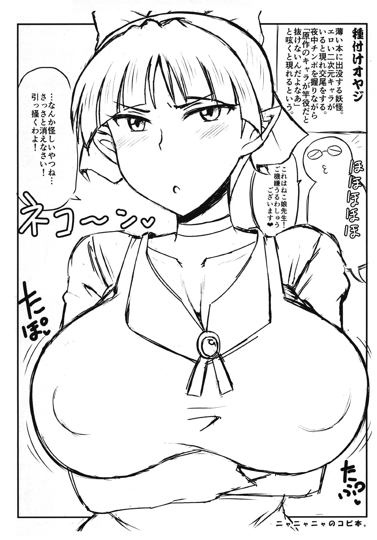 ニャニャニャのコピ本。 1ページ