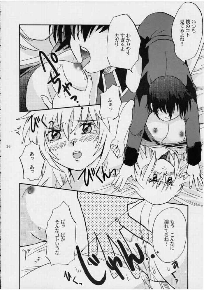 Ark Angel 35ページ