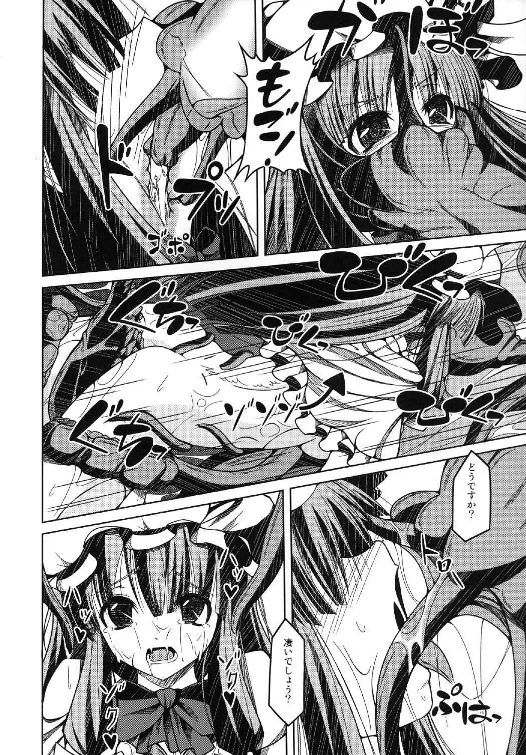 頭からがっぽり咥えちゃうほどパチェが愛おしい本 12ページ