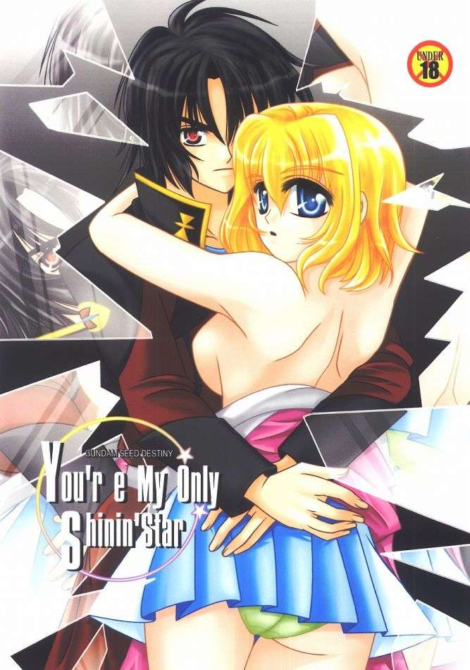 You’re My Only Shin’ Star 1ページ