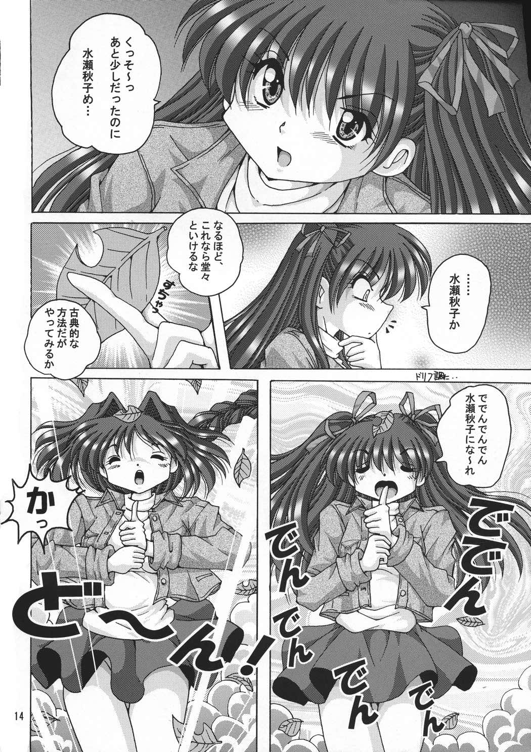 V-TIC 40 13ページ