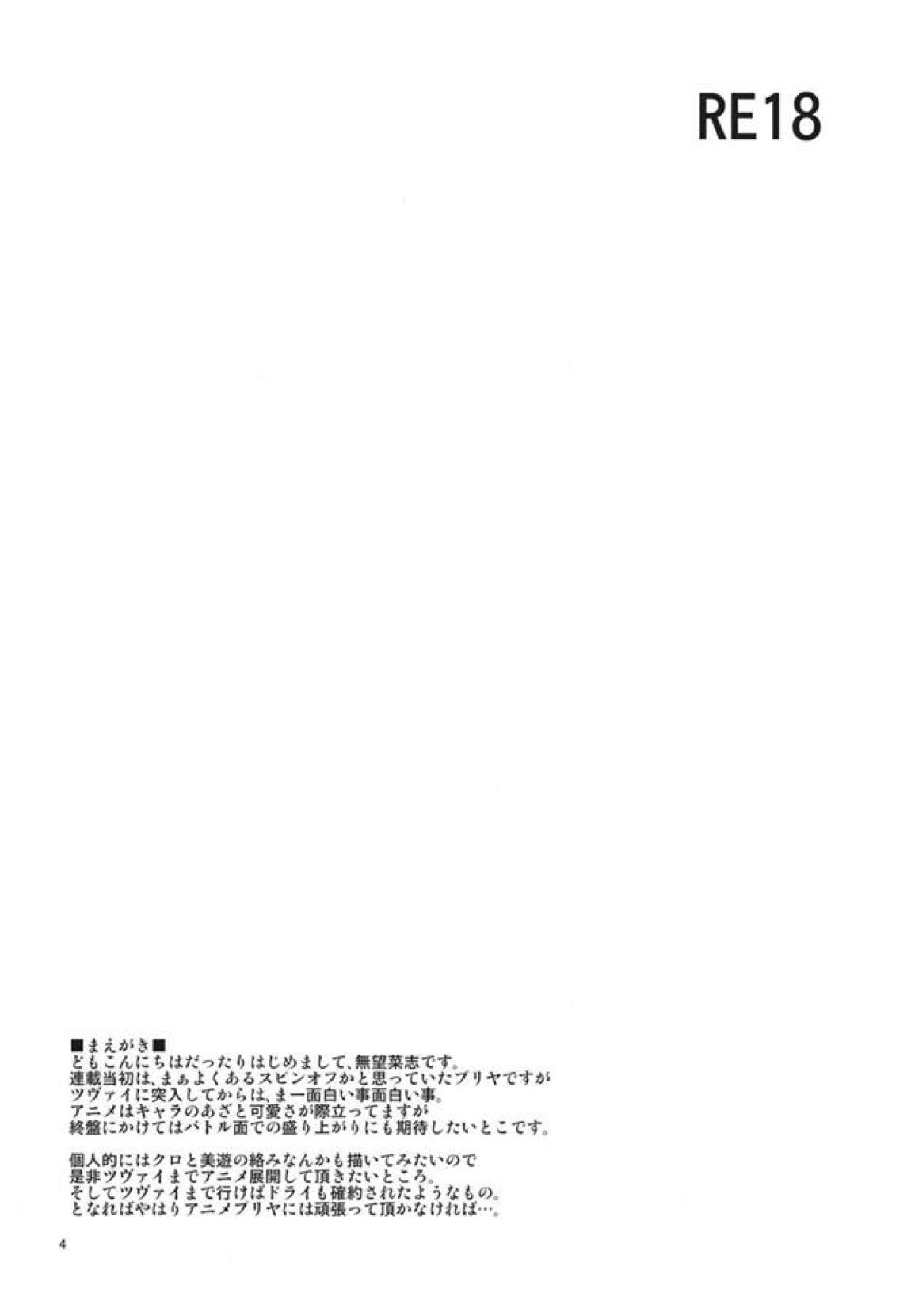 RE18 3ページ
