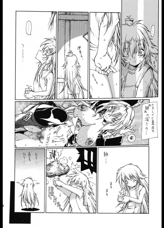 -双月- 13ページ