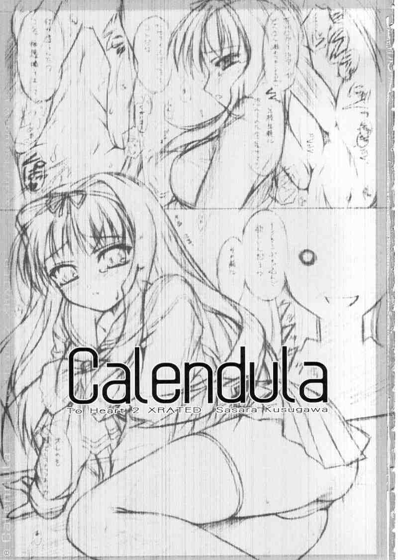 calendula 2ページ