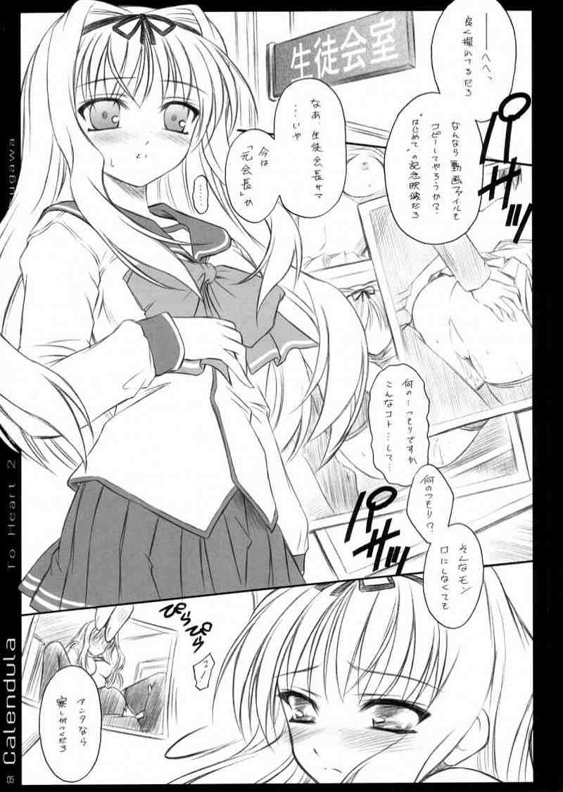 calendula 4ページ