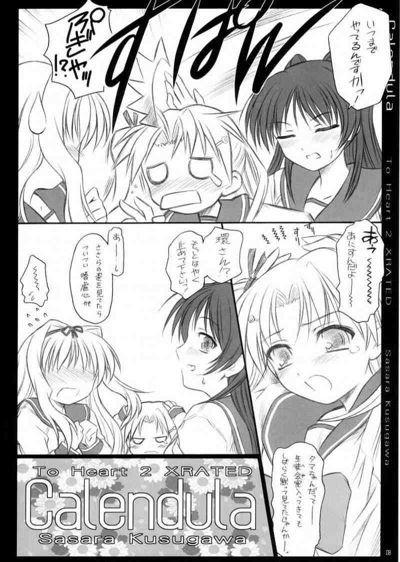 calendula 7ページ