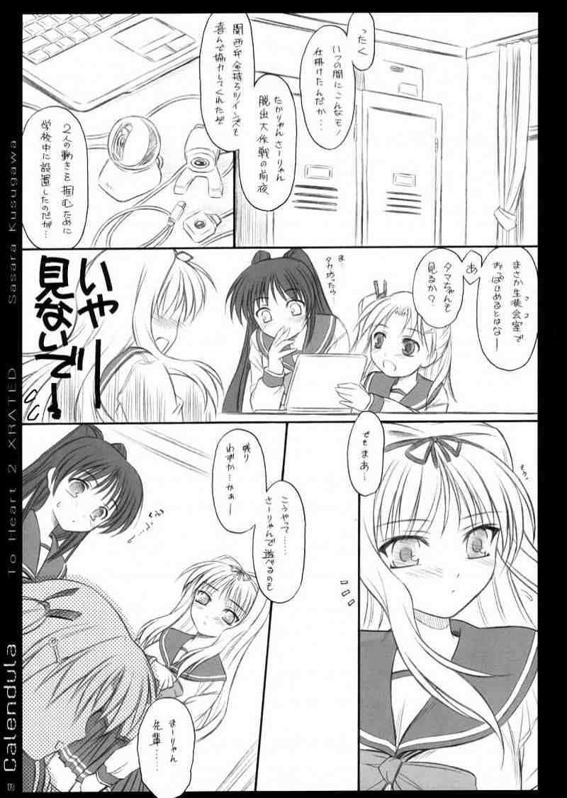 calendula 8ページ